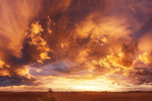技术升级立功!MotoGP积分榜排名飞跃,原来秘诀在这里!