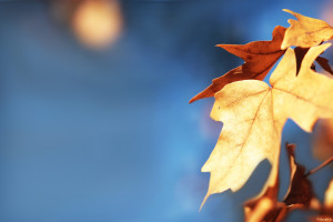 点球大战!2026世界杯预测,命运的抉择谁能承受