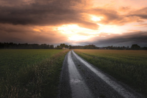 S赛冠军尘埃落定!XX战队捧起召唤师杯,史诗级对决燃爆全场!