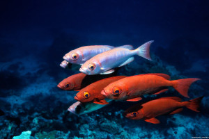 数据可视化,让冰冷数字焕发勃勃生机 数据可视化,让冰冷数字焕发勃勃生机