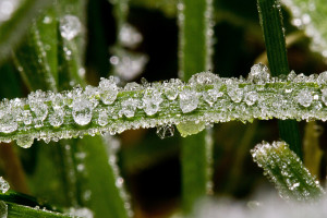 意外受伤!2026世界杯官方视频,令人揪心的瞬间! 意外受伤!2026世界杯官方视频,令人揪心的瞬间!