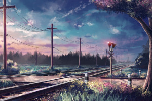 网坛速度对决!发球速度榜揭晓,一场速度的盛宴! 网坛速度对决!发球速度榜揭晓,一场速度的盛宴!