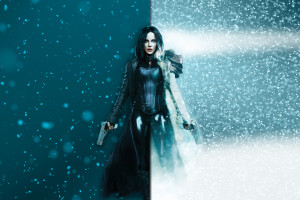 媒体聚焦！亚洲杯冠军之路，见证汗水与拼搏的传奇