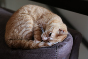 从球王到新星，世界杯MVP的传承之路，看足坛王者如何诞生！