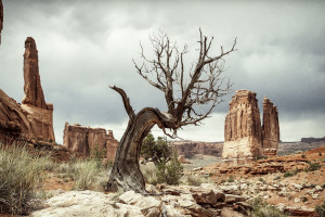 TI 赛事的未来展望：电竞产业如何借助 TI 走向更高峰